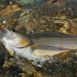 Рыбалка на реке Сукпай